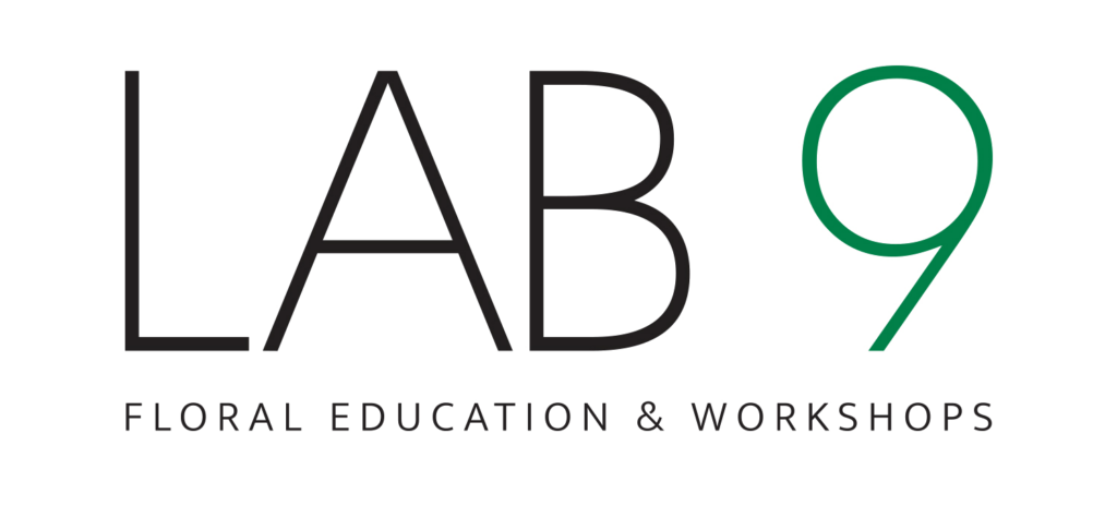 LAB 9 LOGO